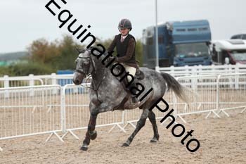 ZCW-1218