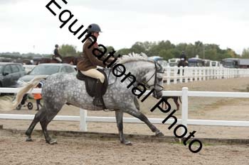 ZCW-1366