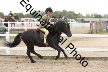 ZCW-1369