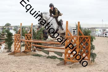 ZCW-1383