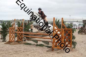 ZCW-1395