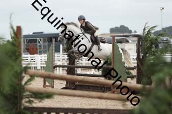 ZCW-1408