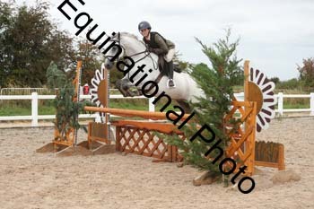 ZCW-1409
