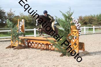 ZCW-1565