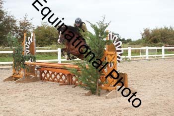 ZCW-1599
