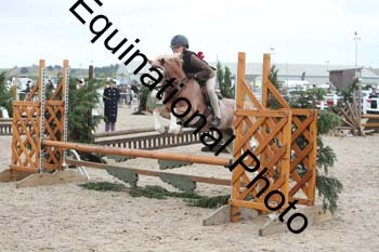 ZCW-1665