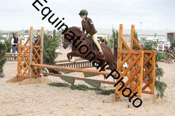 ZCW-1689