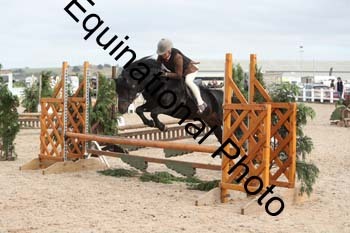 ZCW-1694