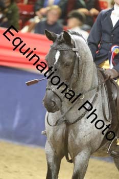 XTZ-349
