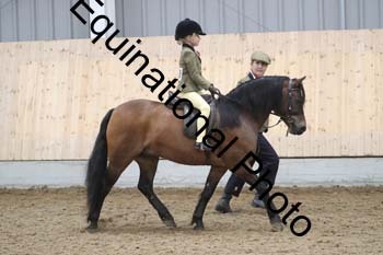 FIK-1303