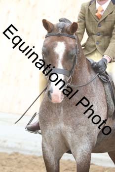 FIK-1940