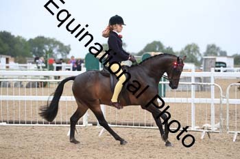 HUT-1189