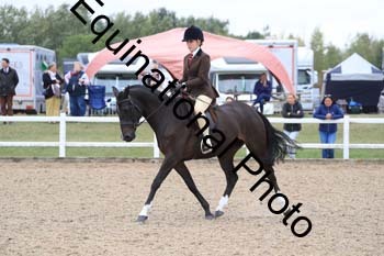 HUT-1656