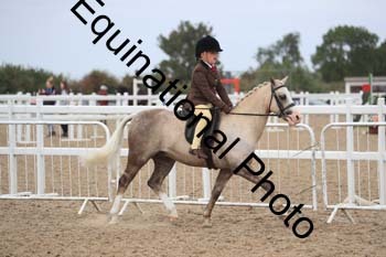 HUT-1853
