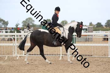 HUT-1991