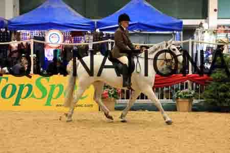 FSC-1203
