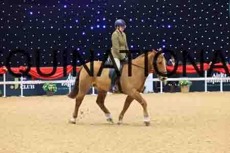 FSC-1233