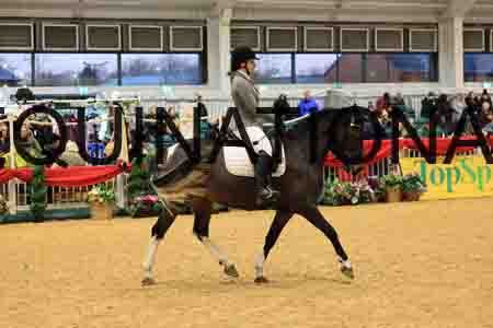 FSC-1267