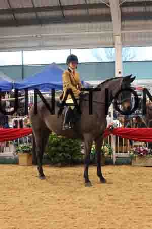 FSC-1627