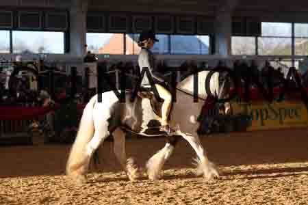 FSC-2013