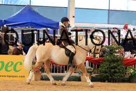 FSC-2435