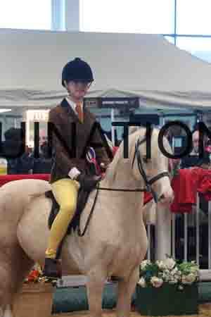 FSC-2551