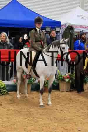 FSC-3397