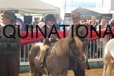 FSC-4441
