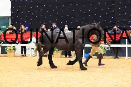 FSC-5564