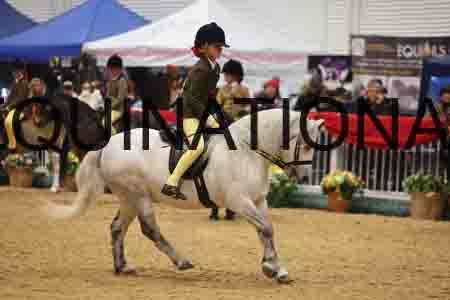 VEN-3297
