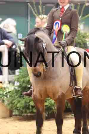 VEN-3648