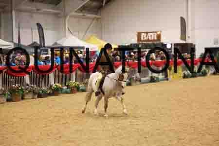 VEN-3981