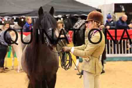 VEN-4211