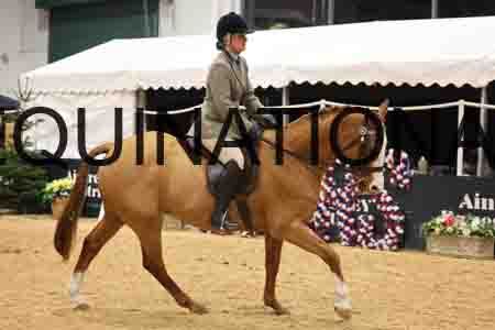 VEN-4458
