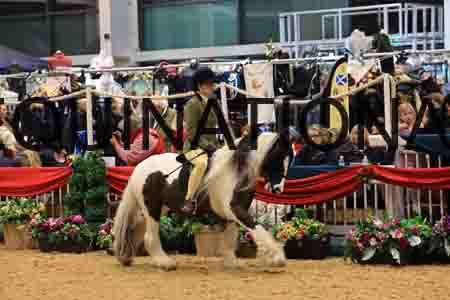 VEN-6017