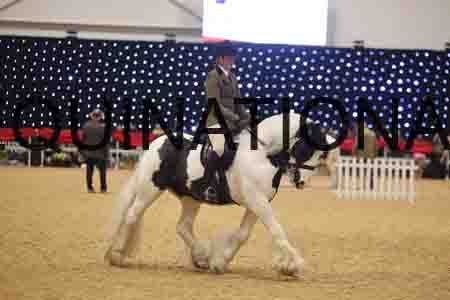 VEN-6210