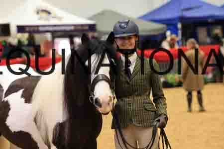 VEN-6453