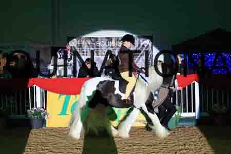 STR-1407