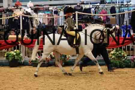 STR-1501