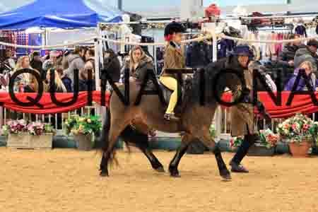 STR-3230