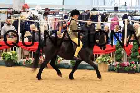 TEK-1183