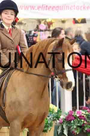 TEK-1746