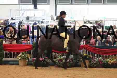 TEK-2169