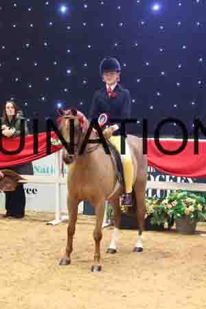 TEK-2485