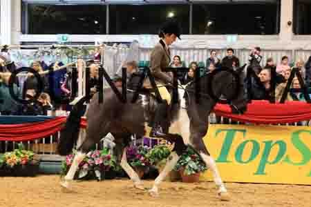 XAR-1112