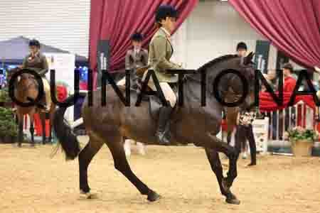 XAR-1356