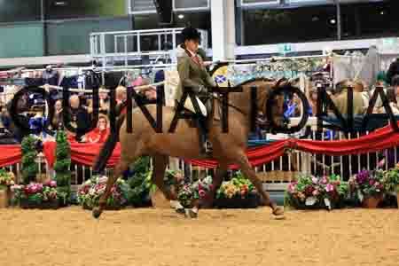 XAR-2626