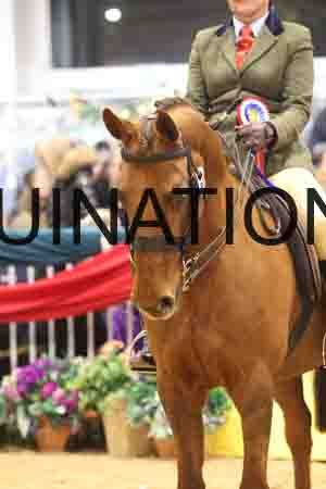 XAR-2888