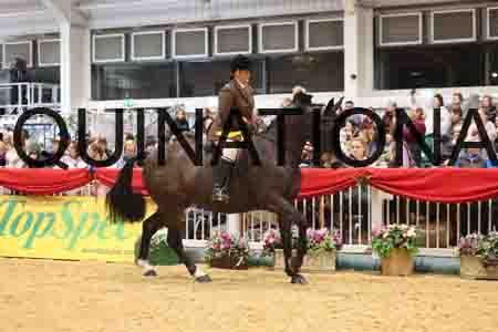 XAR-3044