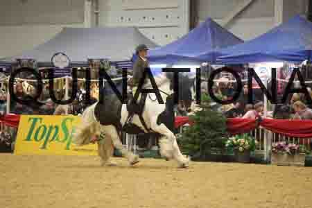 XAR-4030